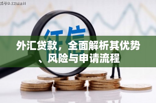 武宣外汇贷款，全面解析其优势、风险与申请流程