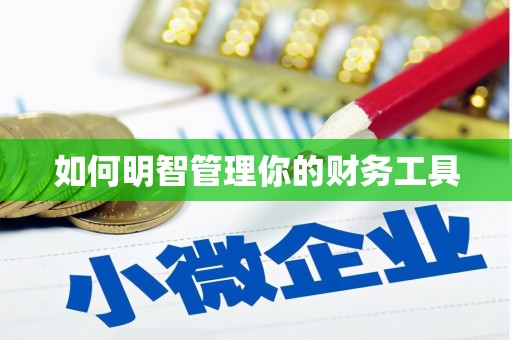武宣如何明智管理你的财务工具