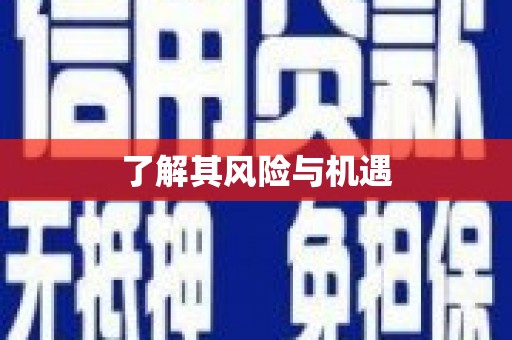 武宣了解其风险与机遇