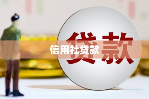 武宣信用社贷款