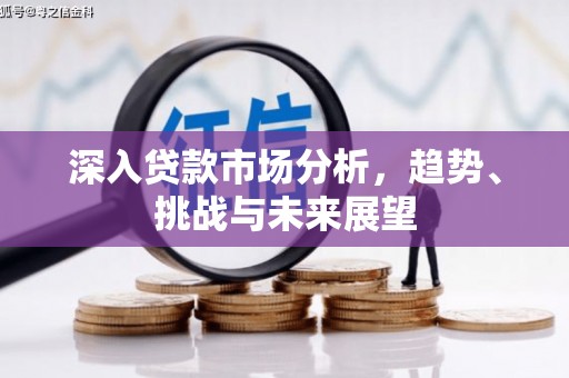 武宣深入贷款市场分析，趋势、挑战与未来展望