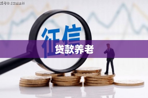 武宣贷款养老