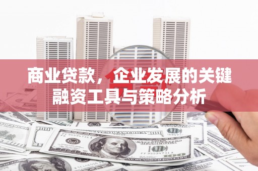 武宣商业贷款，企业发展的关键融资工具与策略分析
