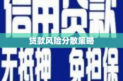 武宣贷款风险分散策略
