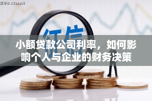 武宣小额贷款公司利率，如何影响个人与企业的财务决策