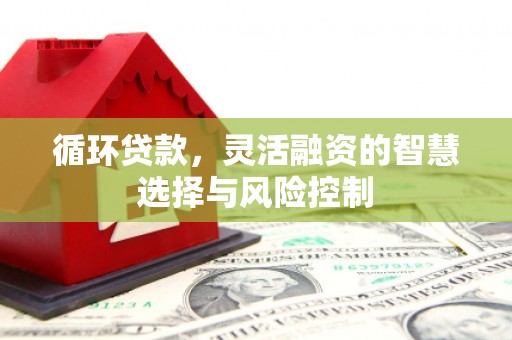 武宣循环贷款，灵活融资的智慧选择与风险控制