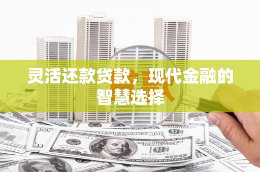 武宣灵活还款贷款，现代金融的智慧选择