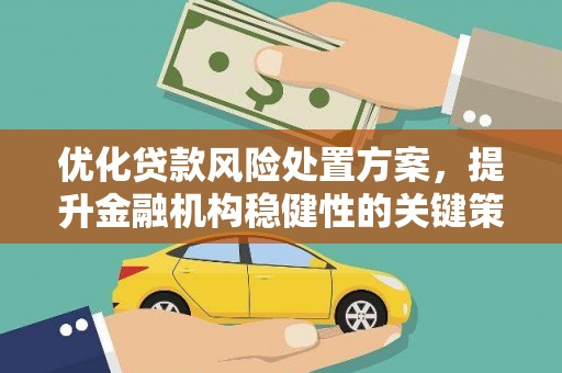武宣优化贷款风险处置方案，提升金融机构稳健性的关键策略