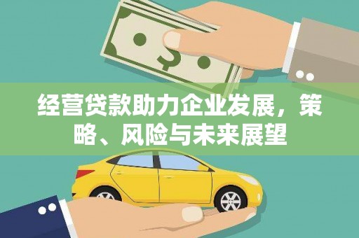 武宣经营贷款助力企业发展，策略、风险与未来展望