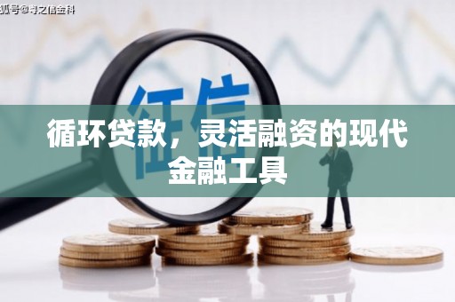 武宣循环贷款，灵活融资的现代金融工具