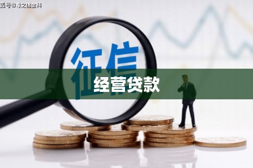 武宣经营贷款
