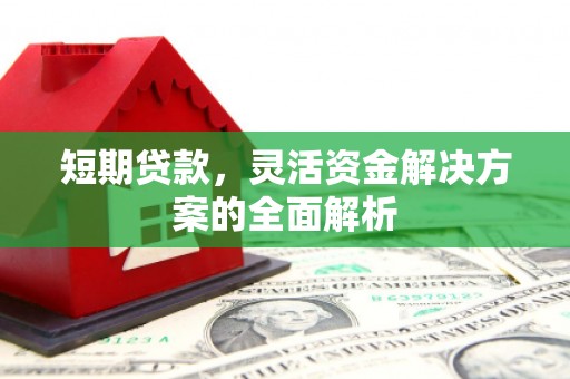 武宣短期贷款，灵活资金解决方案的全面解析