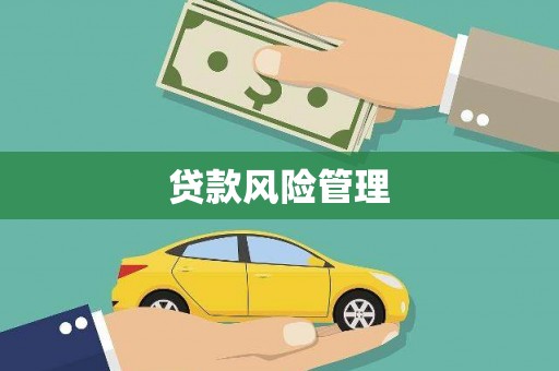武宣贷款风险管理