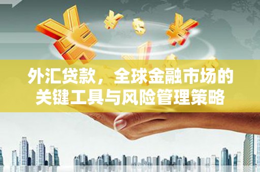武宣外汇贷款，全球金融市场的关键工具与风险管理策略