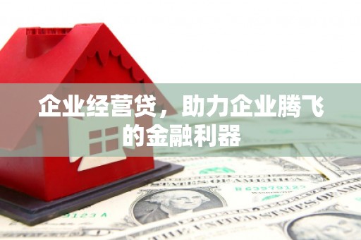 武宣企业经营贷，助力企业腾飞的金融利器