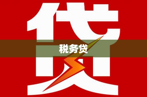 武宣税务贷