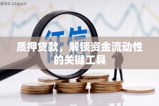 武宣质押贷款，解锁资金流动性的关键工具