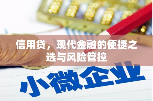 武宣信用贷，现代金融的便捷之选与风险管控