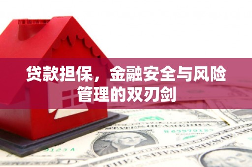 武宣贷款担保，金融安全与风险管理的双刃剑