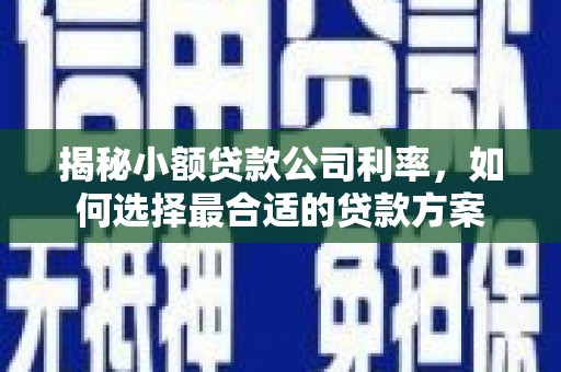 武宣揭秘小额贷款公司利率，如何选择最合适的贷款方案
