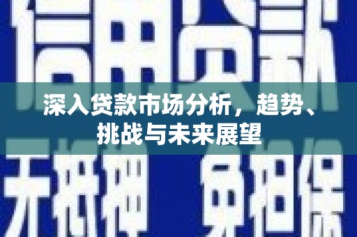 武宣深入贷款市场分析，趋势、挑战与未来展望