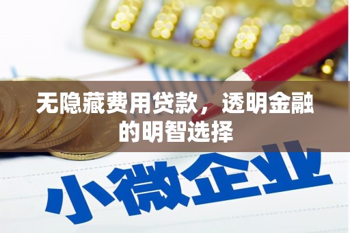 武宣无隐藏费用贷款，透明金融的明智选择