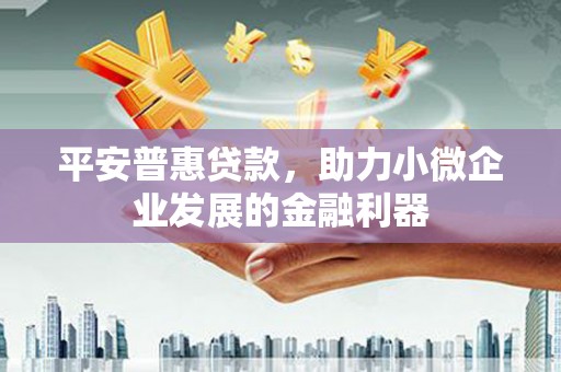 武宣平安普惠贷款，助力小微企业发展的金融利器