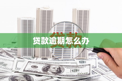 武宣贷款逾期怎么办