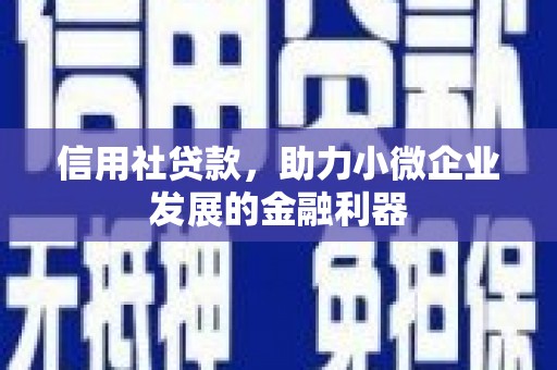 武宣信用社贷款，助力小微企业发展的金融利器