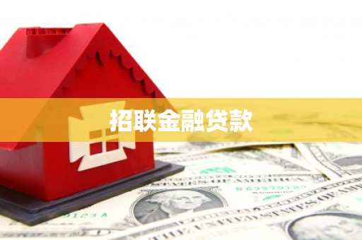 武宣招联金融贷款