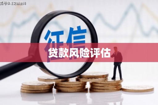 武宣贷款风险评估