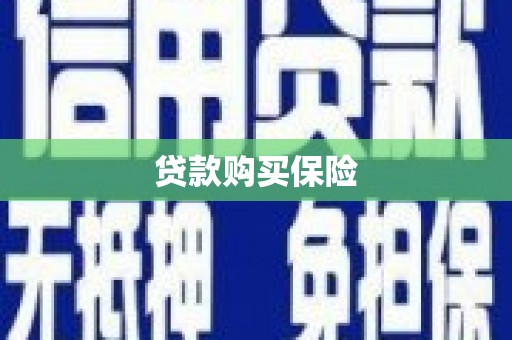 武宣贷款购买保险