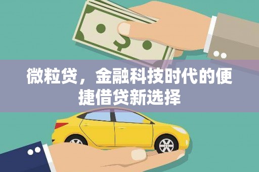 武宣微粒贷，金融科技时代的便捷借贷新选择