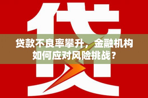 武宣贷款不良率攀升，金融机构如何应对风险挑战？