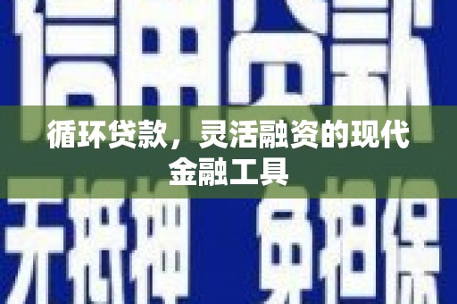 武宣循环贷款，灵活融资的现代金融工具