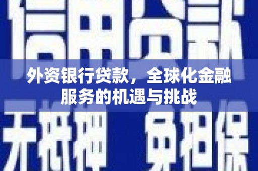 武宣外资银行贷款，全球化金融服务的机遇与挑战