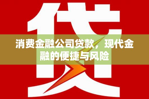 武宣消费金融公司贷款，现代金融的便捷与风险