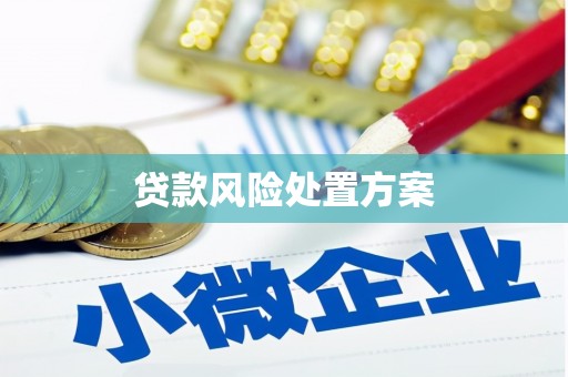 武宣贷款风险处置方案