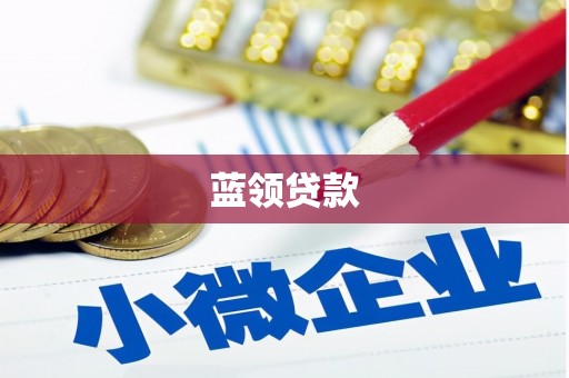 武宣蓝领贷款